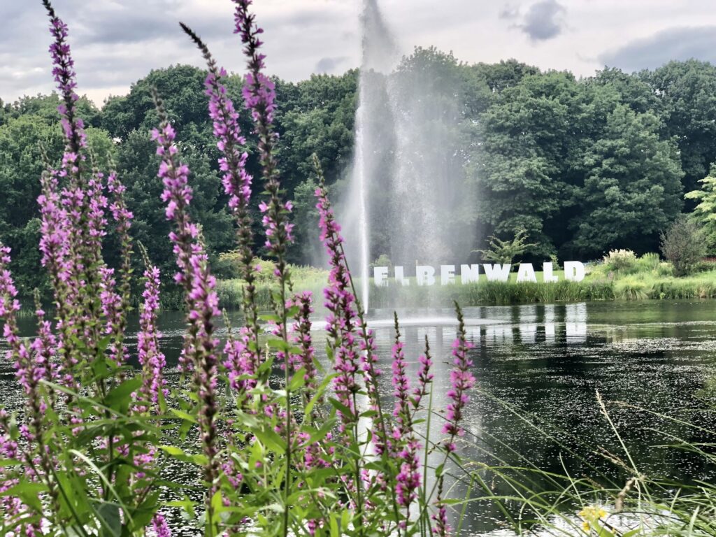 Elbenwald Festival