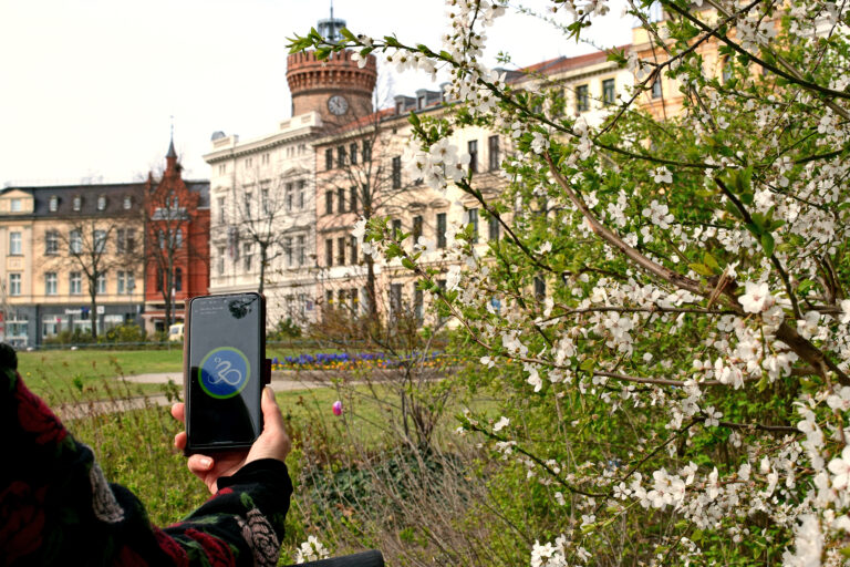 Mit der Stadtradeln-App wird in Cottbus/Chóśebuz eine Fahrt im Frühlingsgrün erfasst, vor blühenden Zweigen am Spremberger Turm der Altstadt.