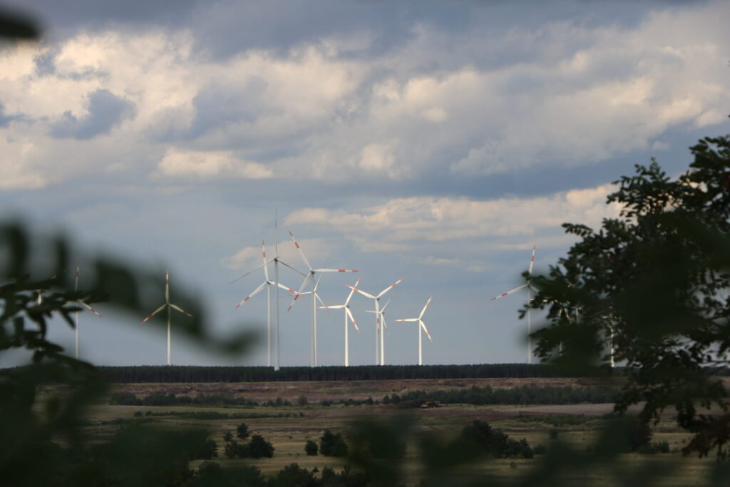 Mehrere Windräder drehen sich über einer weiten Landschaft unter dramatischen Wolken, eingerahmt von unscharfen Ästen im Vordergrund.