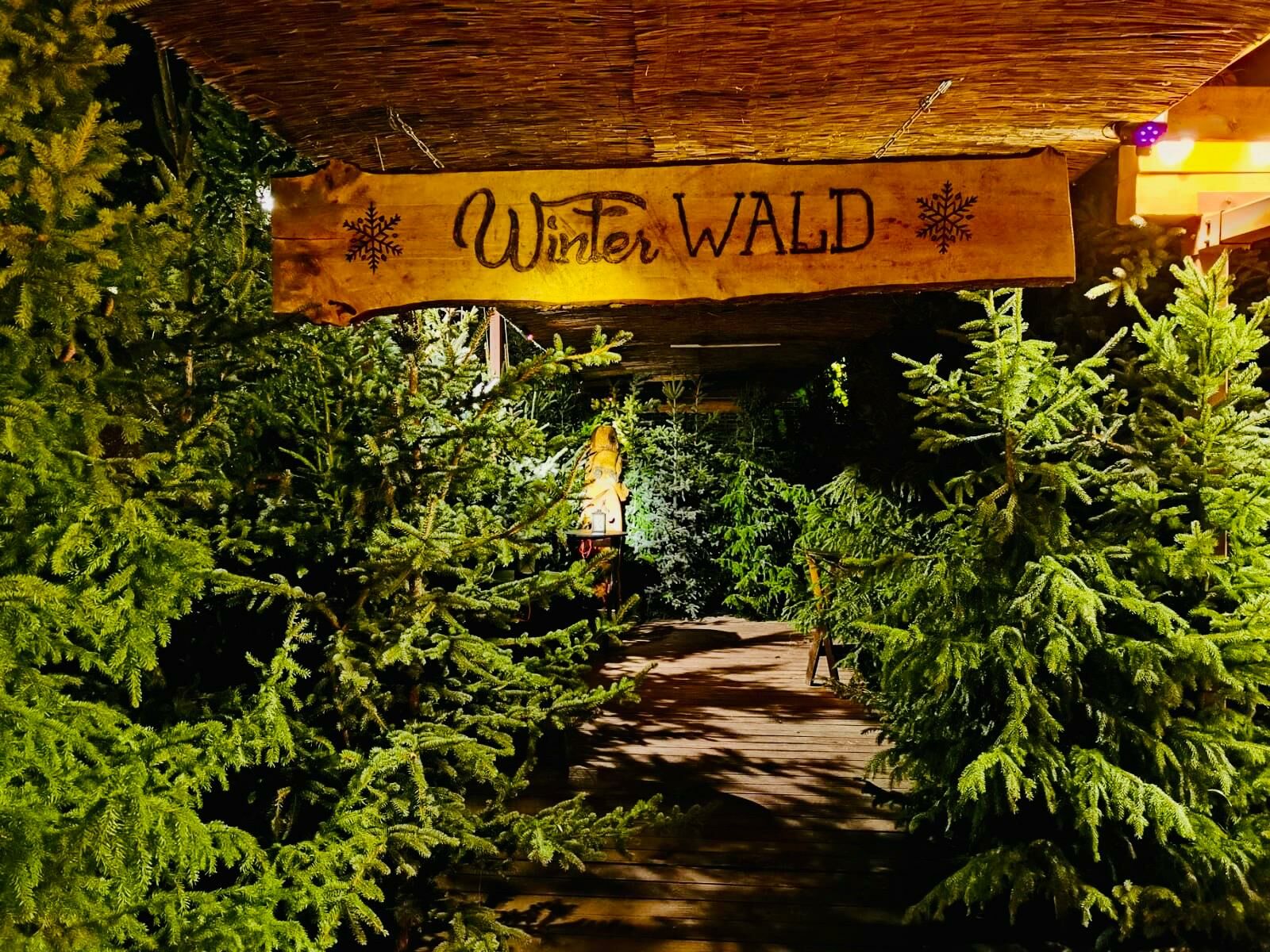 Cottbuser Winterwald