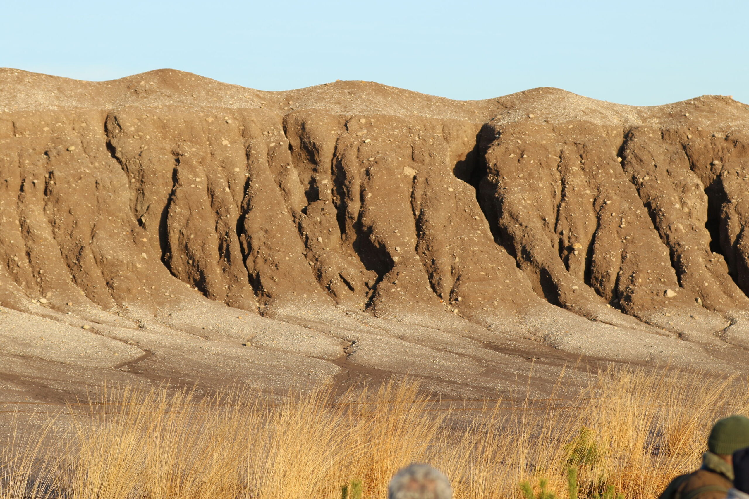 Neue Wildnis nach der Kohle