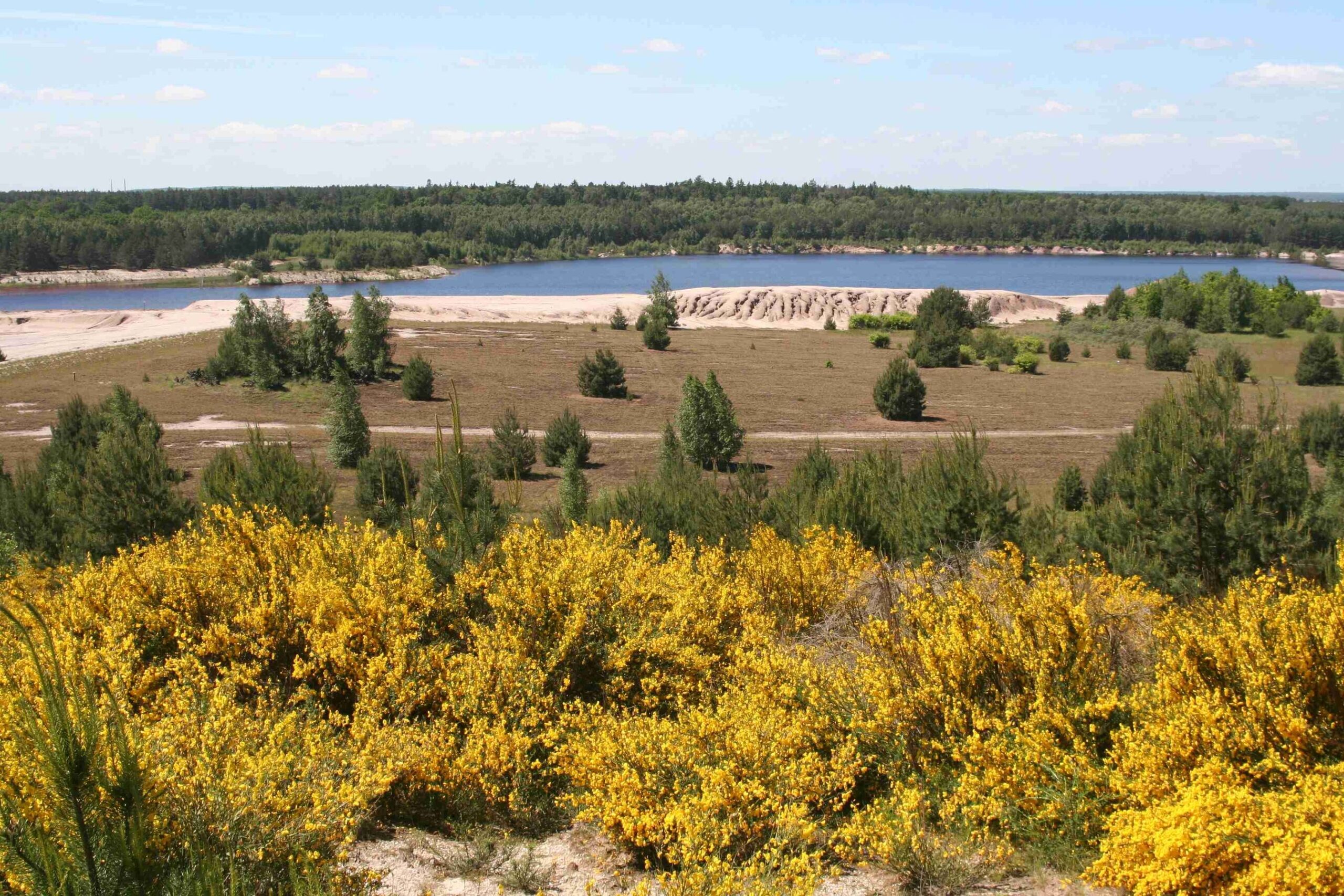 Blütenvielfalt und Insektenwelt