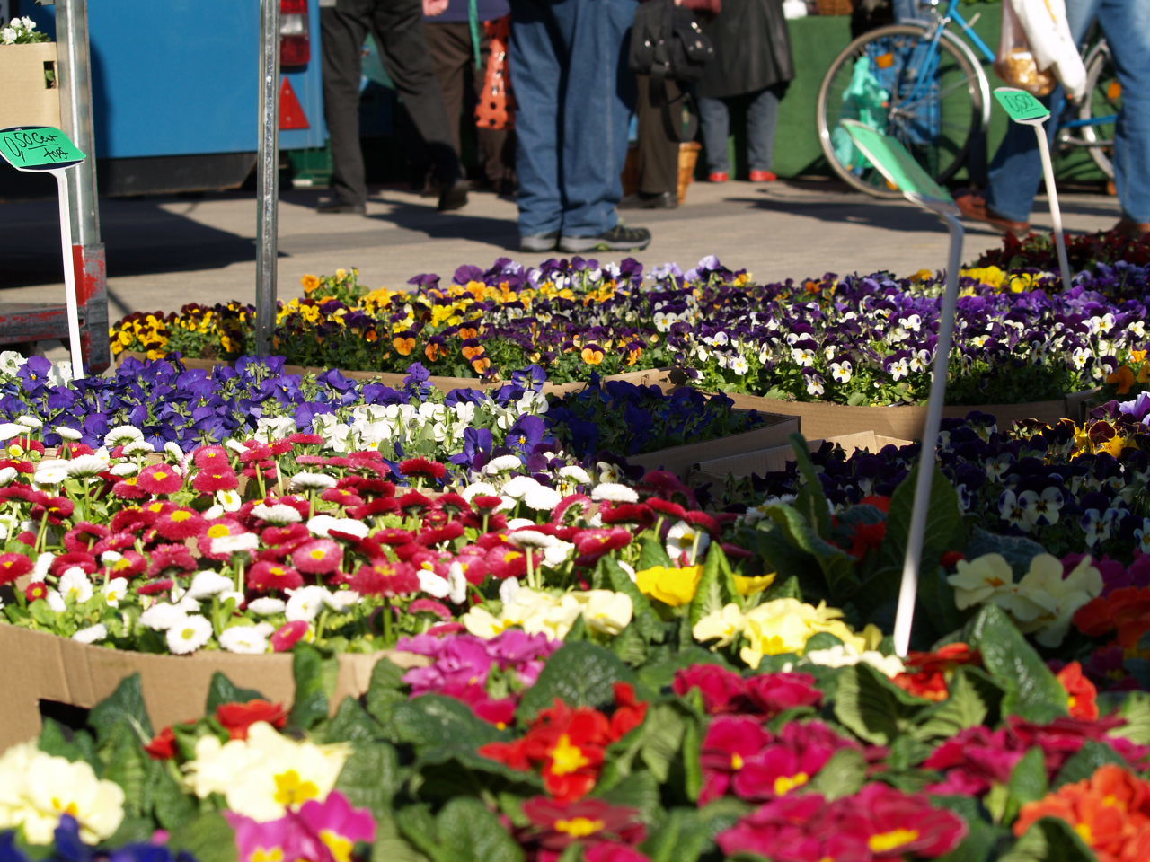 Wochenmarkt auf dem Stadthallenvorplatz
