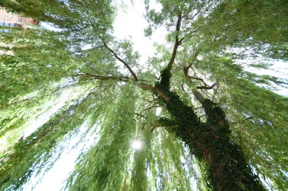 35 Jahre Mauerfall und deutsche Einheit