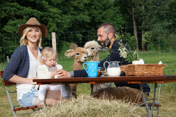 Alpaka Picknick | Brunch