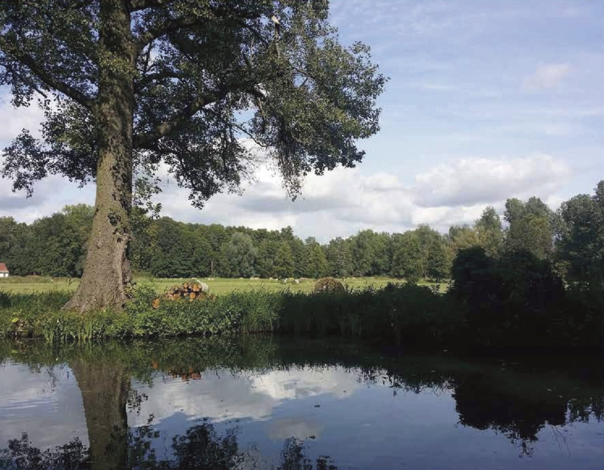 WURZELN & WANDEL DER LAUSITZ – Eine heimatkundliche Spurensuche
