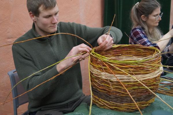 Flechten mit frischer Weide