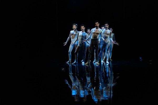 Staatstheater Cottbus: Freddie