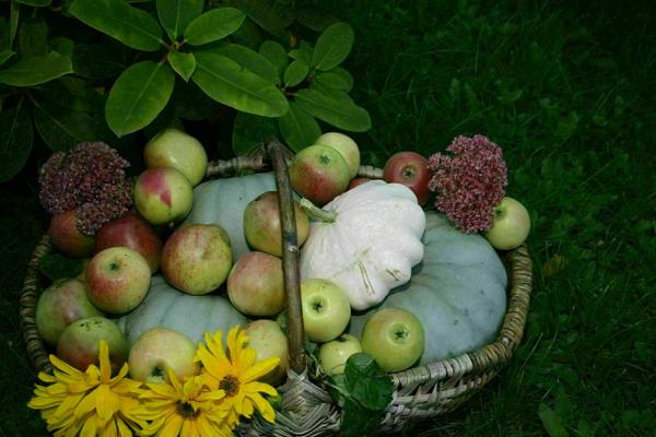 MarktTreff in Teupitz