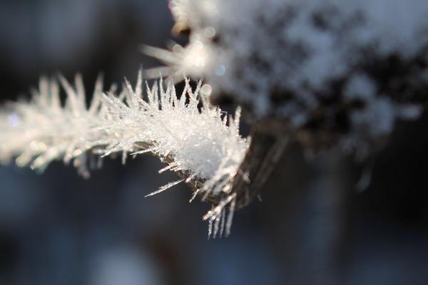 Senzig wandert - Weihnachtswanderung Klein Venedig