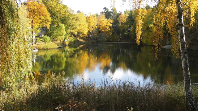 Tag des offenen Hofes mit Öffnung des Hofladens