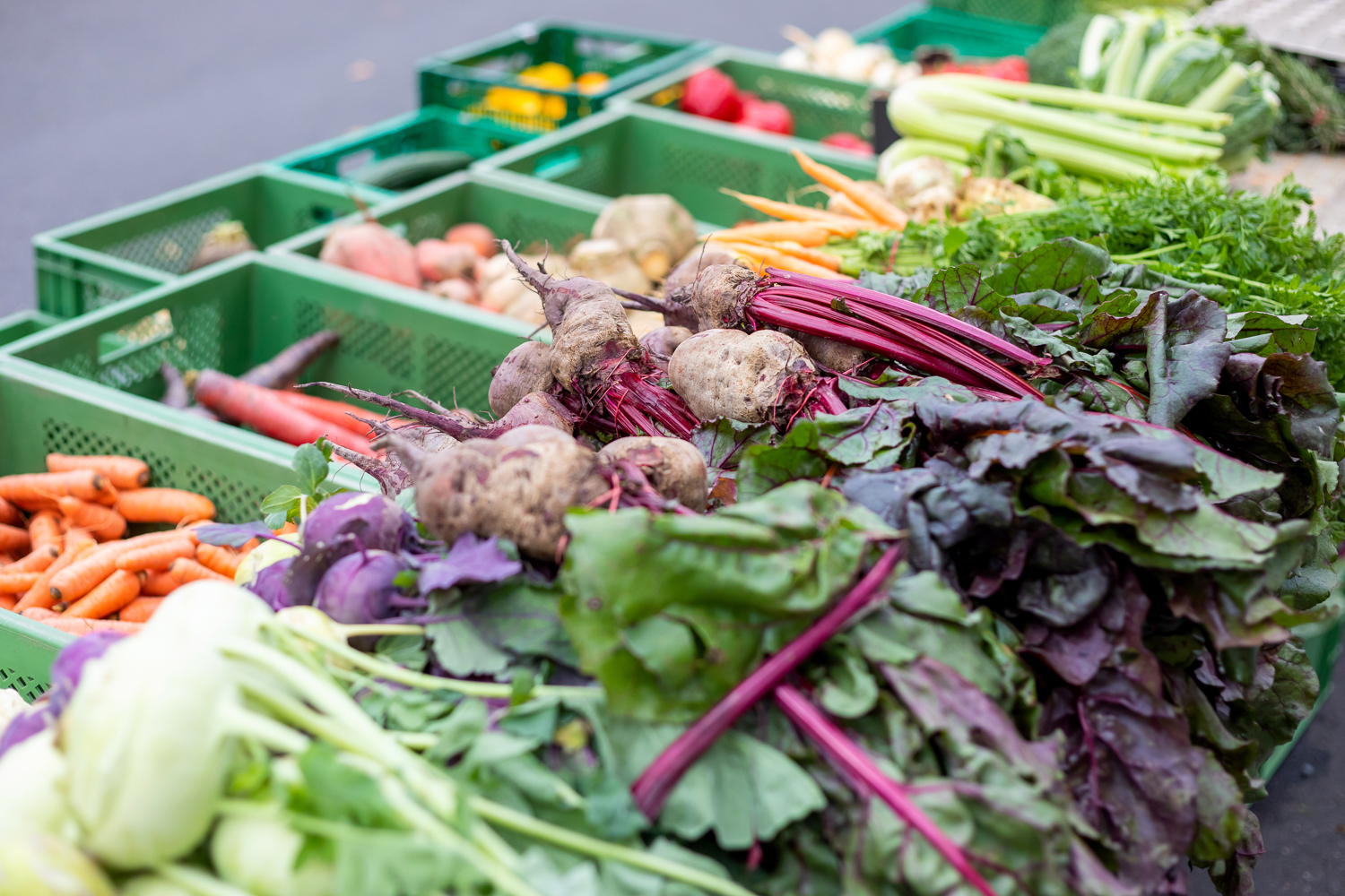 Cottbuser Wochenmarkt (Mi)