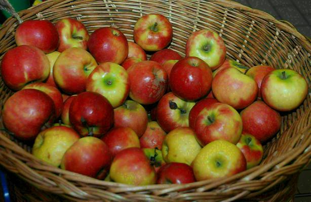 Wochenmarkt am Plumpengraben