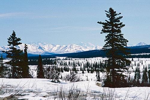 Von Alaska nach Feuerland - Multivisionsshow