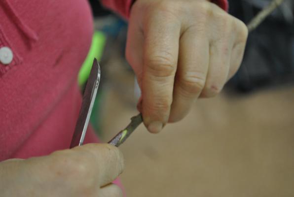 Veredlungsseminar - Obstbäume