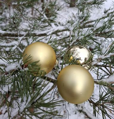 Advents- und Weihnachtsmusik