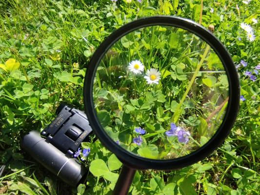 Landschaften zweier Künstler - Fürst Pückler und Carl Blechen
