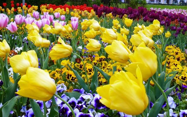 5. Teupitzer Frühlingswanderung