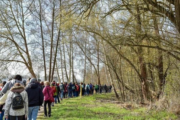 Wildauer Kleeblatt-Wanderung
