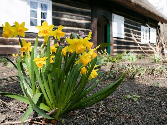 Ostern im Freilandmuseum Lehde