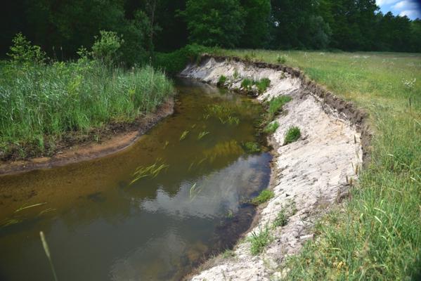 Foto: Olaf Meißner, Lizenz: NaturSchutzFonds Brandenburg