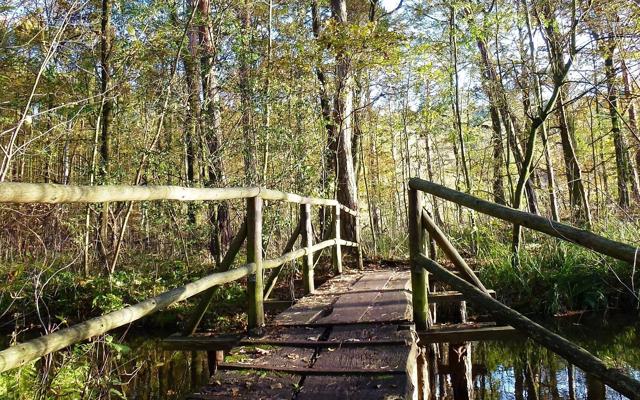 Foto: Juliane Frank, Lizenz: Tourismusverband Dahme-Seenland e.V.