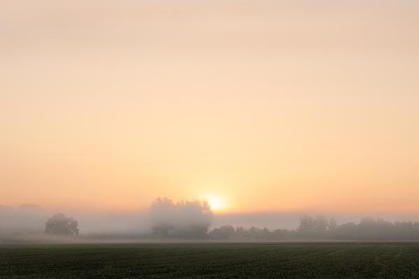 Foto: Stefan Hessheimer