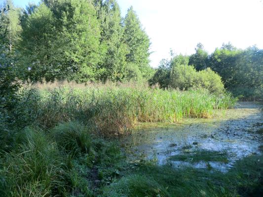 Foto: Naturpark NLH, Lizenz: Naturpark NLH