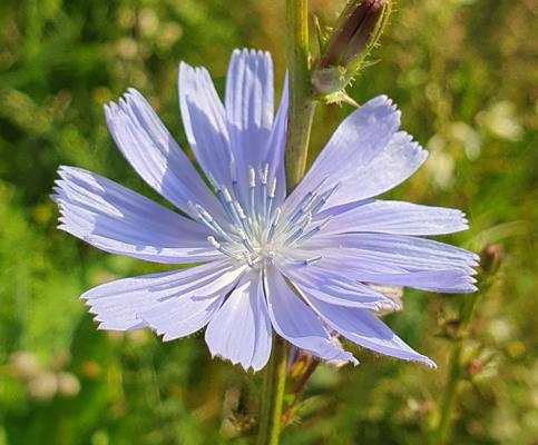 Foto: Lydia Brusendorf