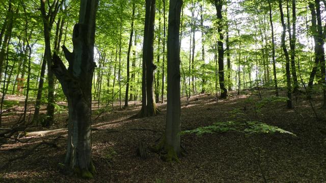 Foto: Inka Schwand, Lizenz: Inka Schwand