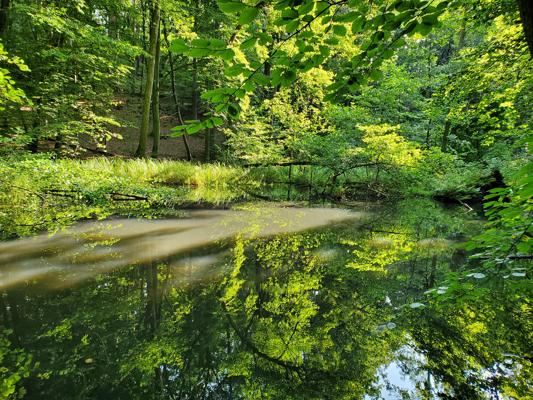 Foto: Naturpark Schlaubetal, Lizenz: Naturpark Schlaubetal
