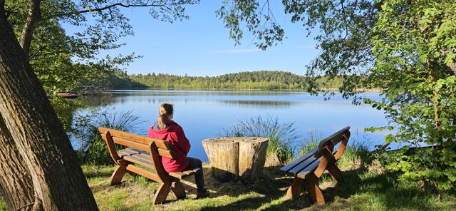 Foto: Stiuftung NaturSchutzFonds, Lizenz: Stiftung NaturSchutzFonds