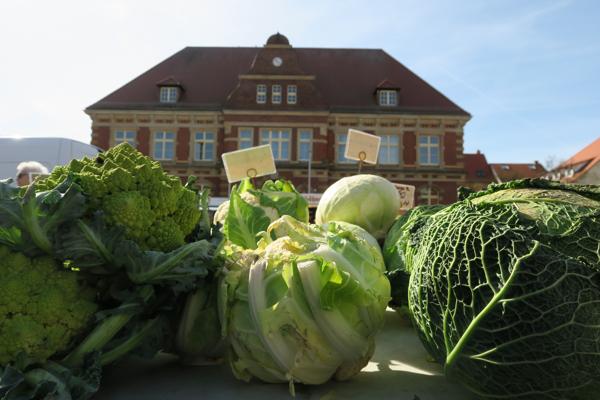 Foto: Jan Hornhauer, Lizenz: Stadt Calau