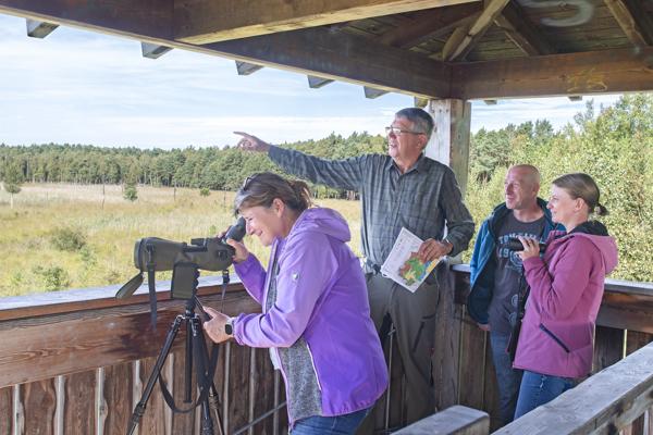 Foto: Nada Quenzel, Lizenz: Tourismusverband Lausitzer Seenland e.V.