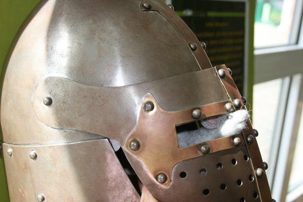 Foto: atz Welzow, Lizenz: atz Welzow