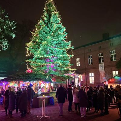 Foto: Stephen Ruebsam, Lizenz: Arche Neuenhagen