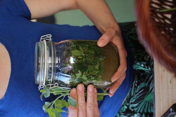 Beim Workshop Gurken einlegen wird ein Glas mit Kräutern und Gurken von Händen vorbereitet, passend zum Selbermachen von Essiggurken in Cottbus/Chóśebuz.