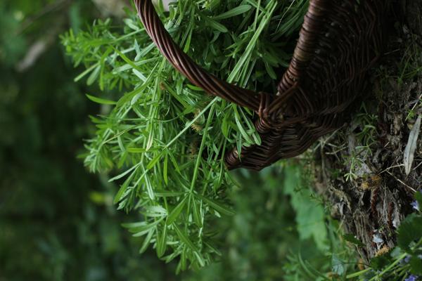 Foto: Larissa Schulz