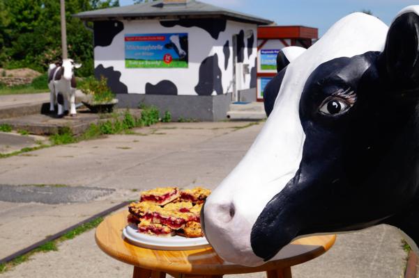 Foto: Agrokli Verwaltungs- und Dienstleistungs GmbH, Lizenz: Agrokli Verwaltungs- und Dienstleistungs GmbH