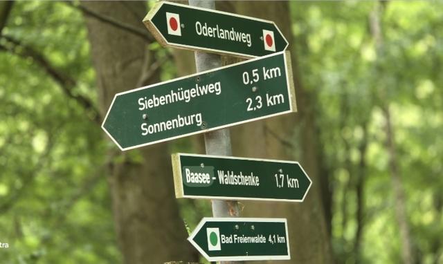 Foto: Bernd Müller NAturfreunde Oberbarnim-Oderland