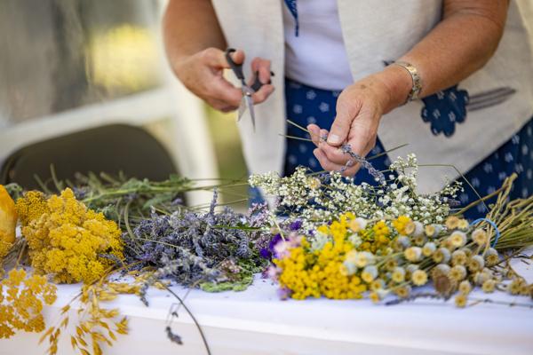 Beim Spreewälder Handwerker- und Bauernmarkt schneiden Hände Kräuter und Trockenblumen, während gelbe, violette und weiße Bündel sortiert werden.