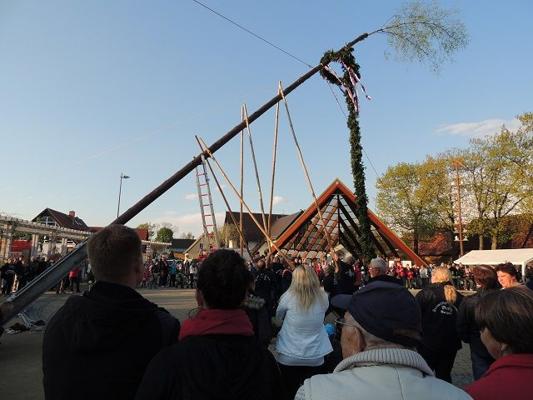 Maibaumaufstellen, Foto: Aline Gubella, Lizenz: Aline Gubella