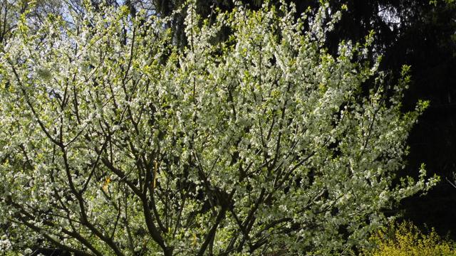 Foto: Ute Bernhardt, Lizenz: Ute Bernhardt