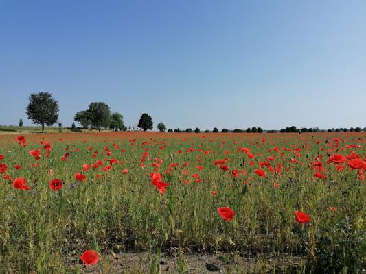 Foto: A. Oegel, Lizenz: FTV