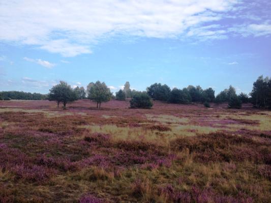 Foto: S.Lehmann, Lizenz: Touristinformation Doberlug-Kirchhain