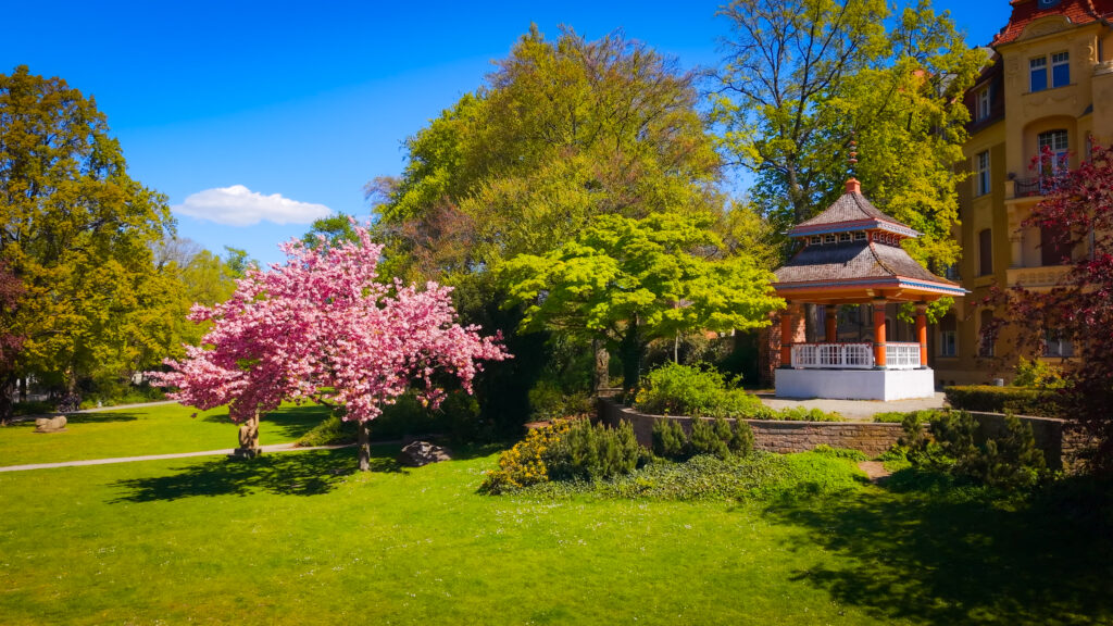 Teehäuschen, japanischer Pavillon