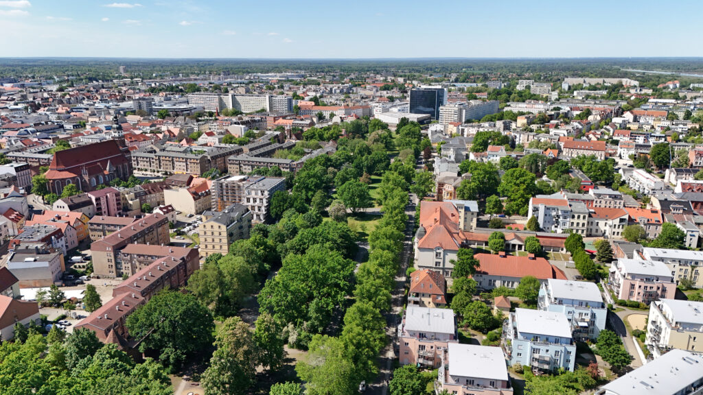Im Luftbild von Cottbus zeigt sich die Puschkinpromenade als grüne Allee zwischen Wohnhäusern und historischen Gebäuden in der Innenstadt im Sommer.