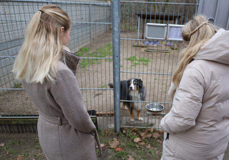 Tierheim Cottbus