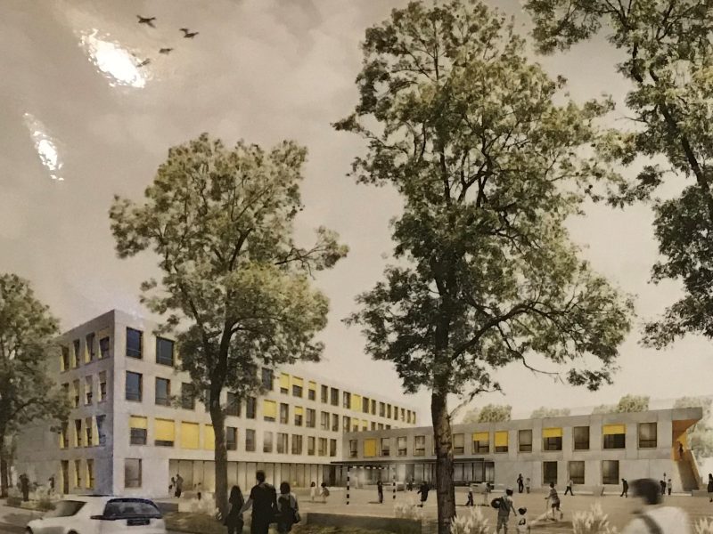 Eine moderne Gebäudegestaltung mit großen Bäumen, spielenden Kindern und Fußgängern prägt den begrünten Innenhof mit parkenden Autos.