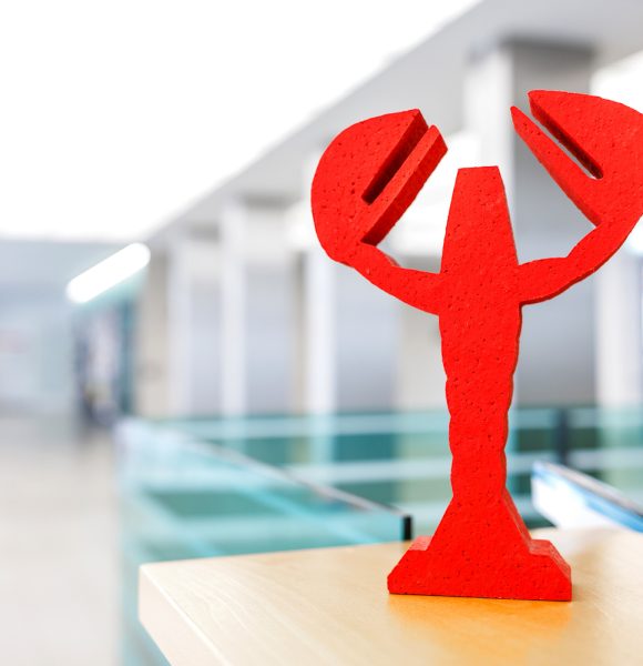 Stadtverwaltung Cottbus, 08.08.2023, **Foto: Stadt Cottbus / Andreas Franke**